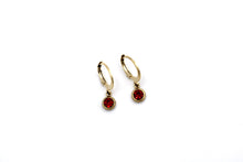 Load image into Gallery viewer, Red Lever Back Earrings