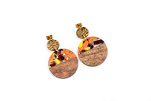 Load image into Gallery viewer, Orange Fleck Earrings