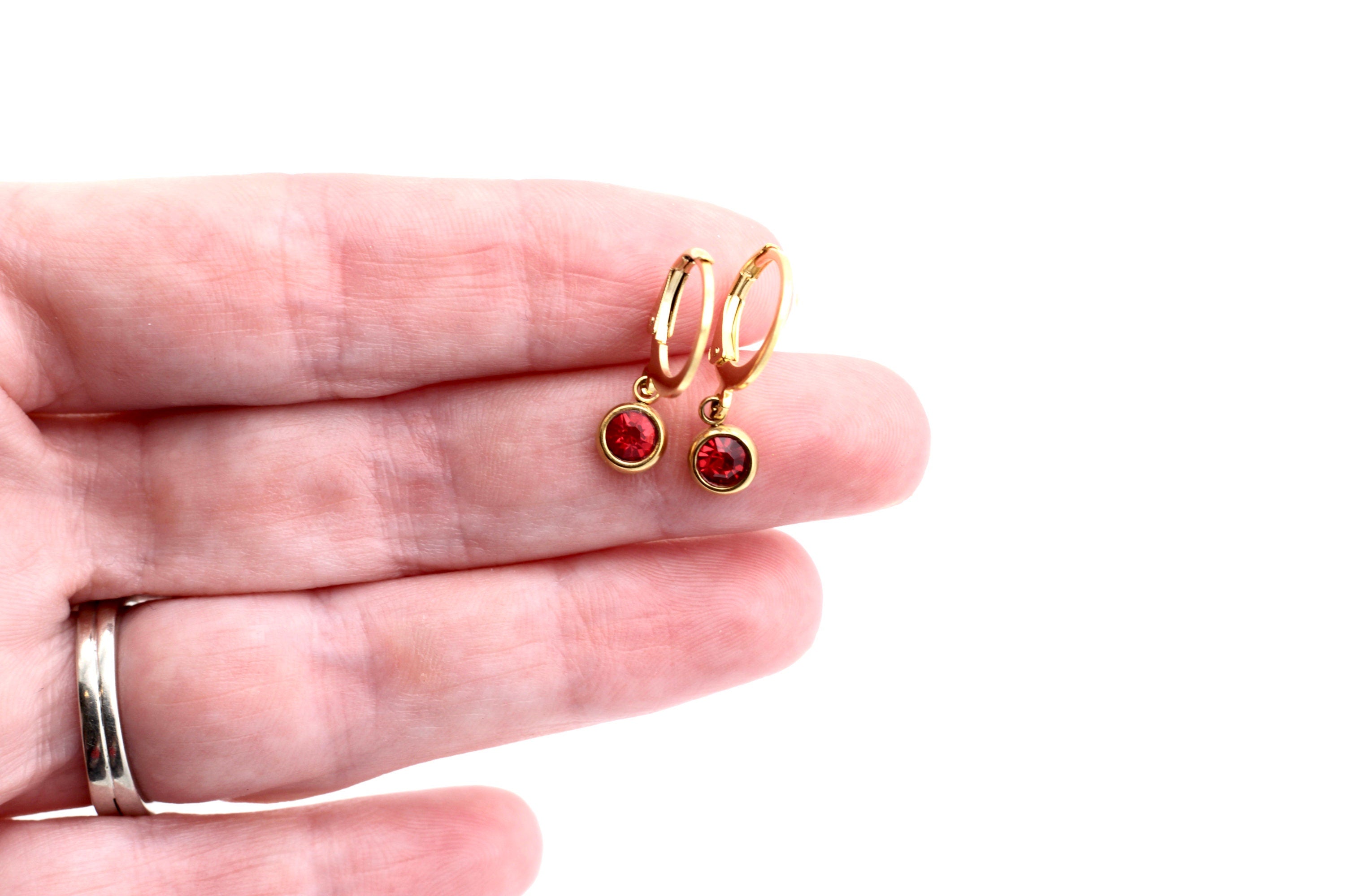 Red Lever Back Earrings