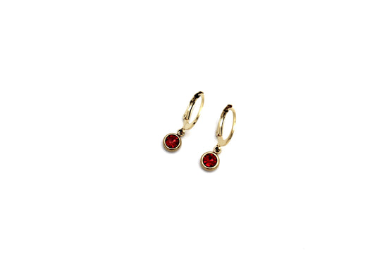 Red Lever Back Earrings