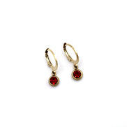 Red Lever Back Earrings