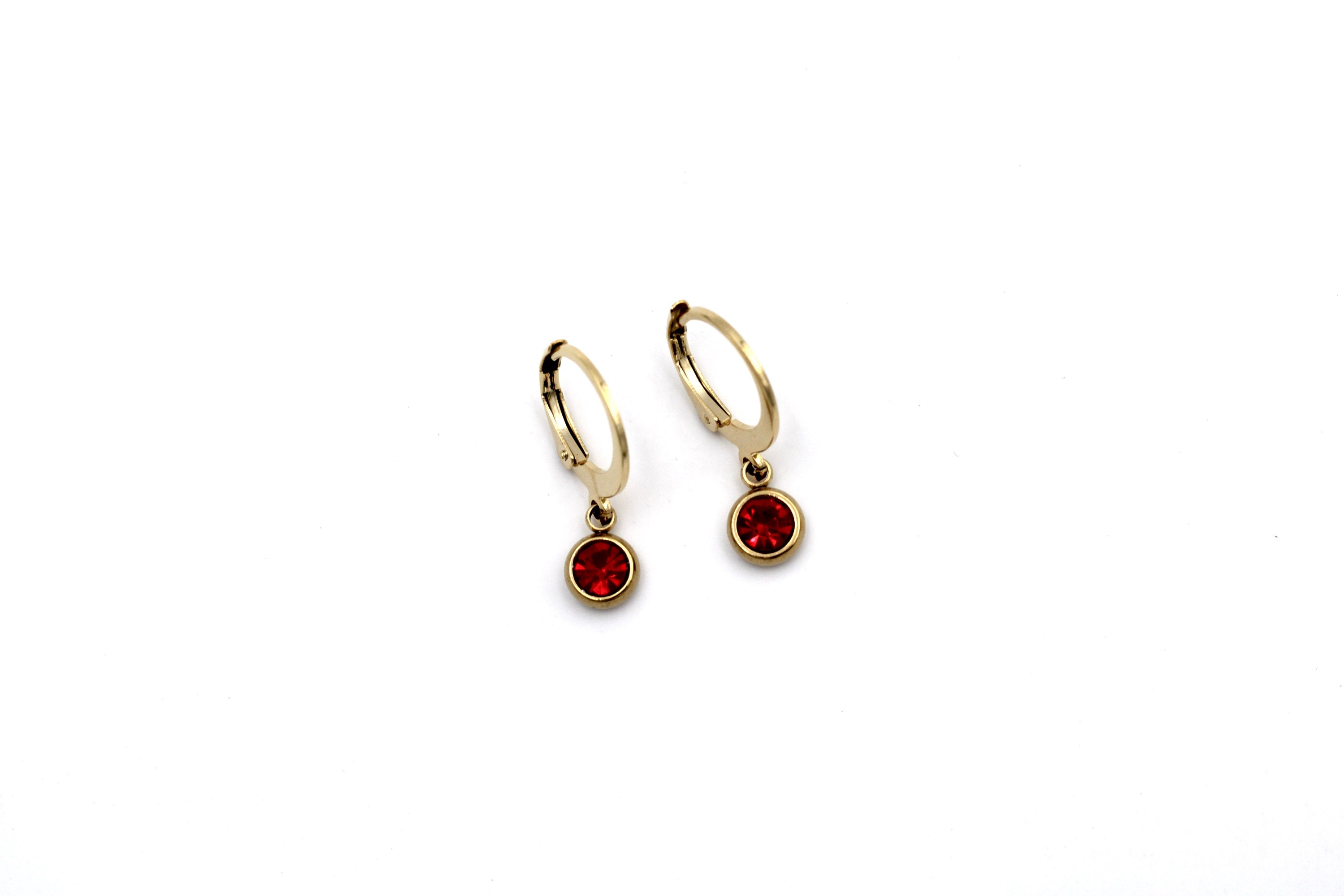 Red Lever Back Earrings