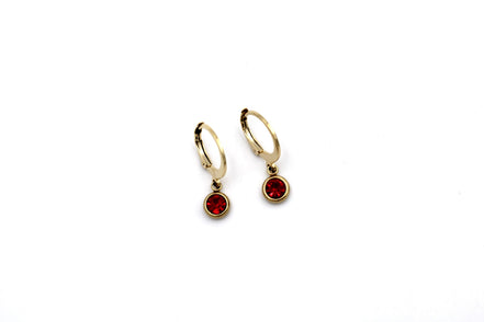 Red Lever Back Earrings