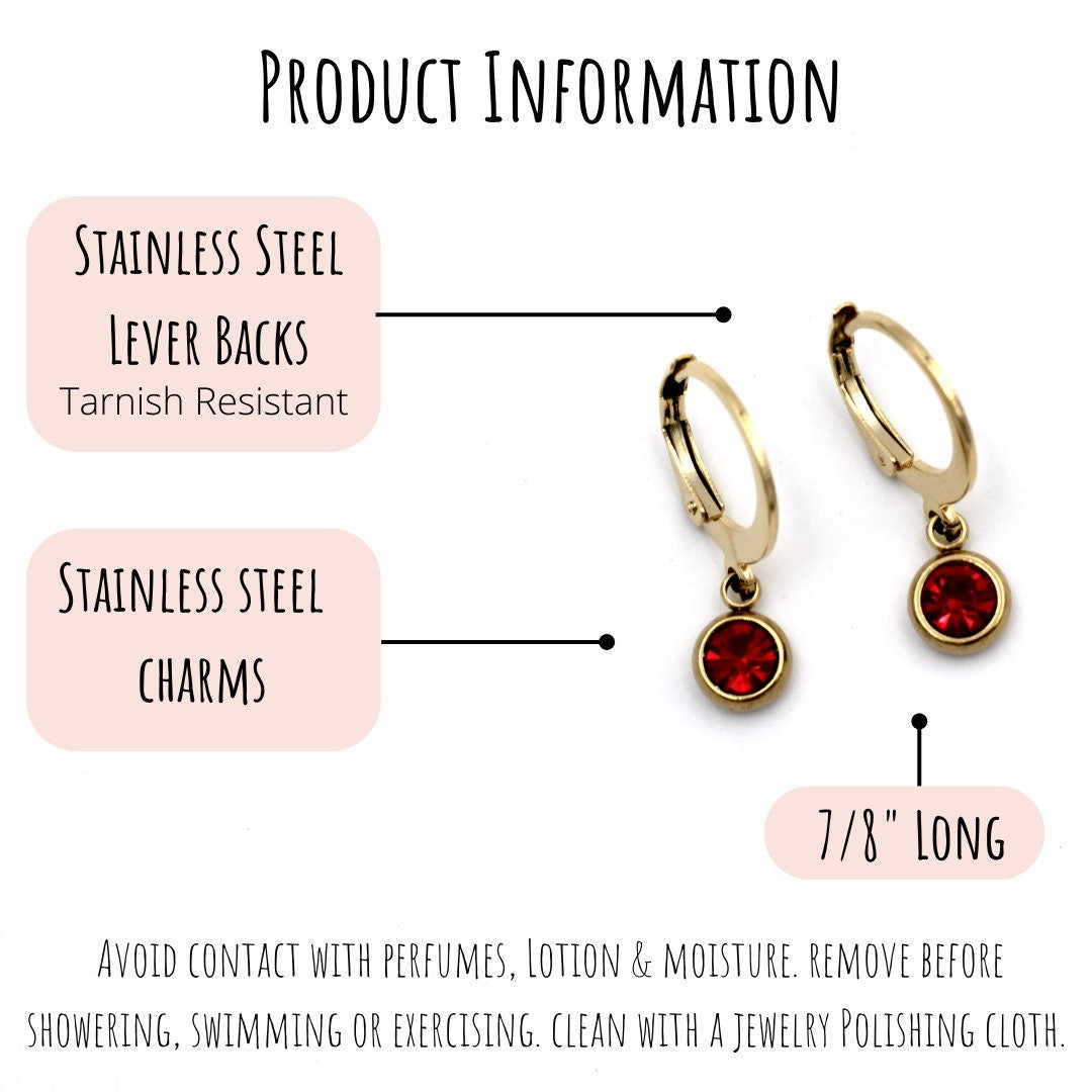 Red Lever Back Earrings