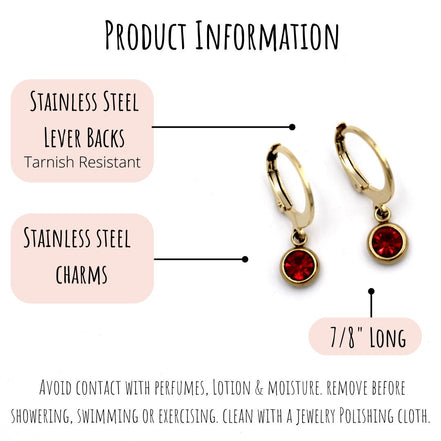 Red Lever Back Earrings