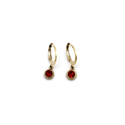 Red Lever Back Earrings