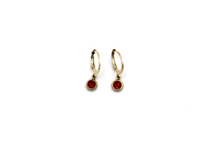 Red Lever Back Earrings