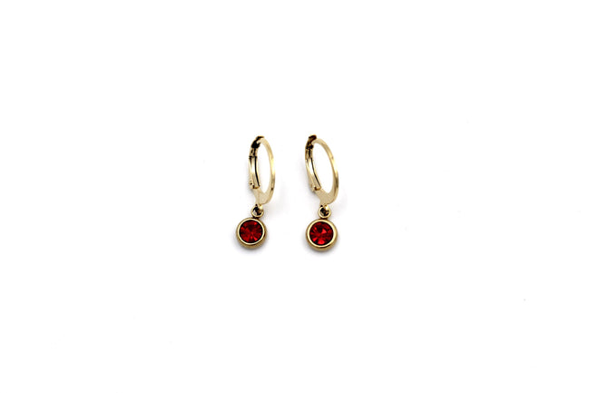 Red Lever Back Earrings