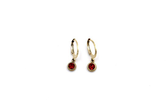 Red Lever Back Earrings