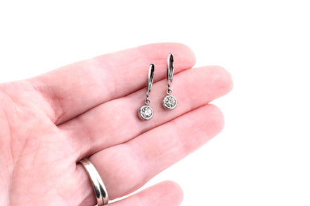 Silver Lever Back Earrings